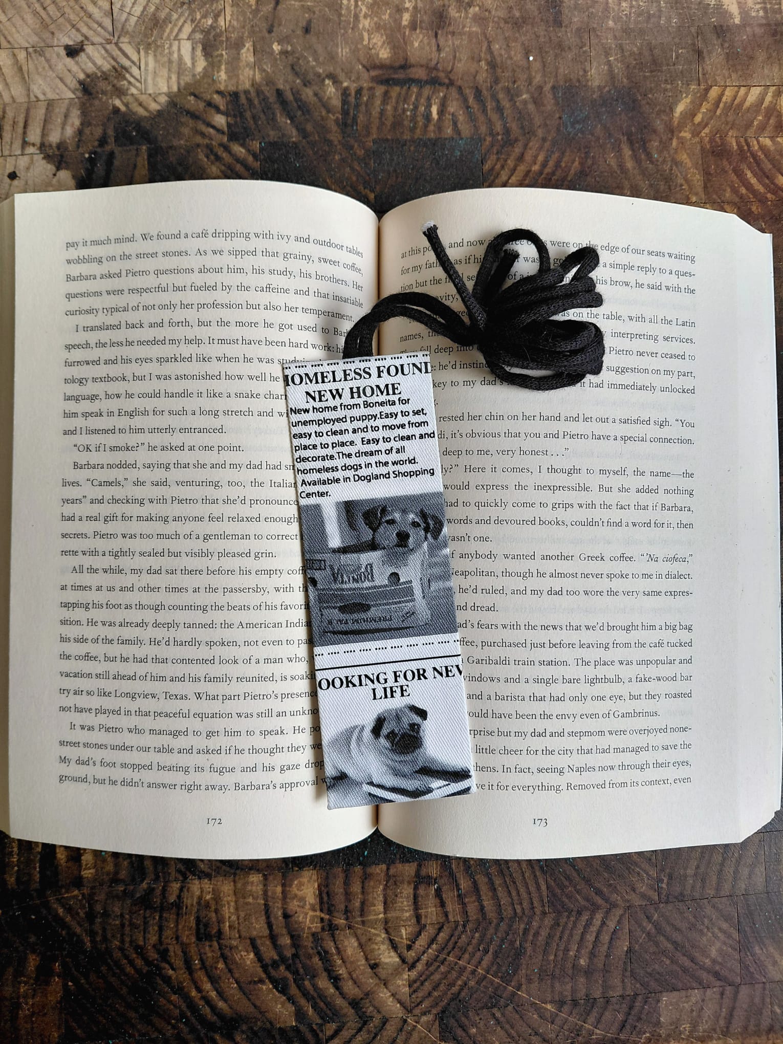 News Paper Dogs - Image 1